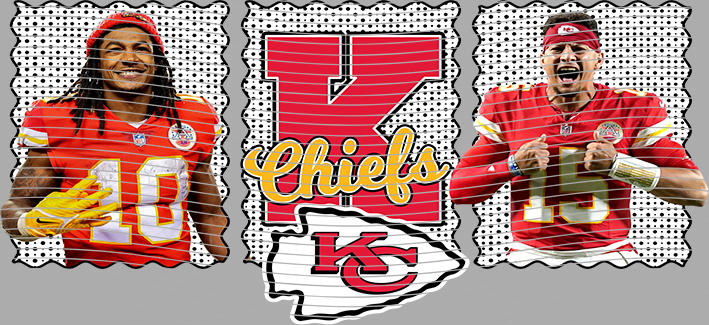 16oz team-NFL 3584